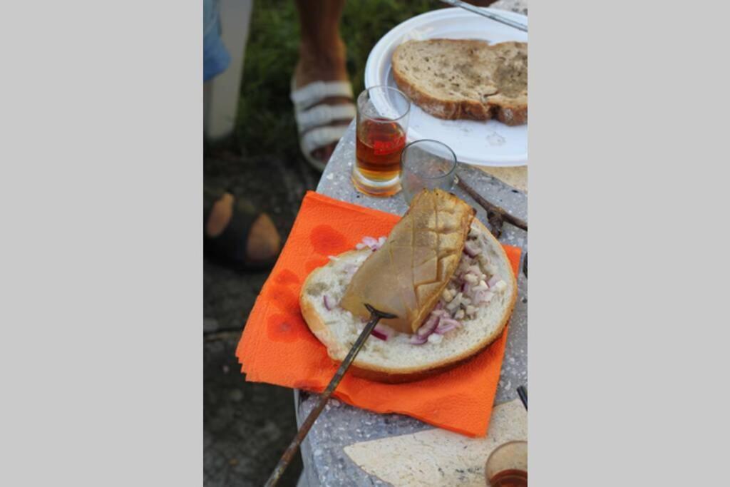 Balla Mama, Hajdúszoboszló Exterior foto